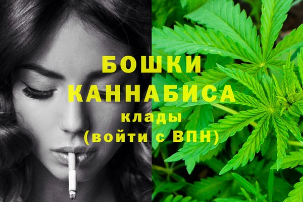 тгк Горнозаводск