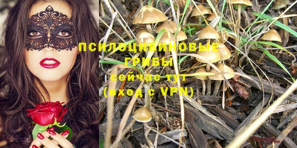 гашиш Горняк