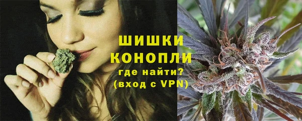 тгк Горнозаводск