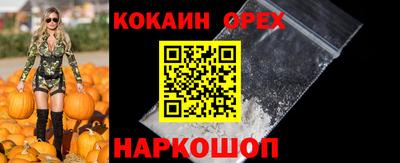 крисы Дубна