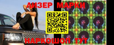 крисы Дубна