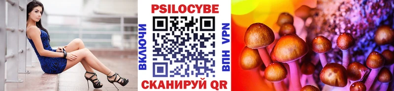 купить наркотики цена  Отрадный  Галлюциногенные грибы мицелий 